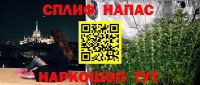 spice Новозыбков
