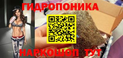 spice Новозыбков