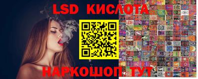 spice Новозыбков