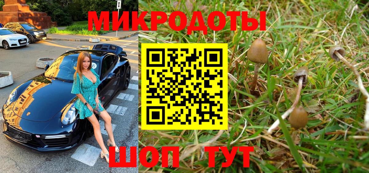 Псилоцибиновые грибы Psilocybine cubensis  Вход с VPN  Тосно 